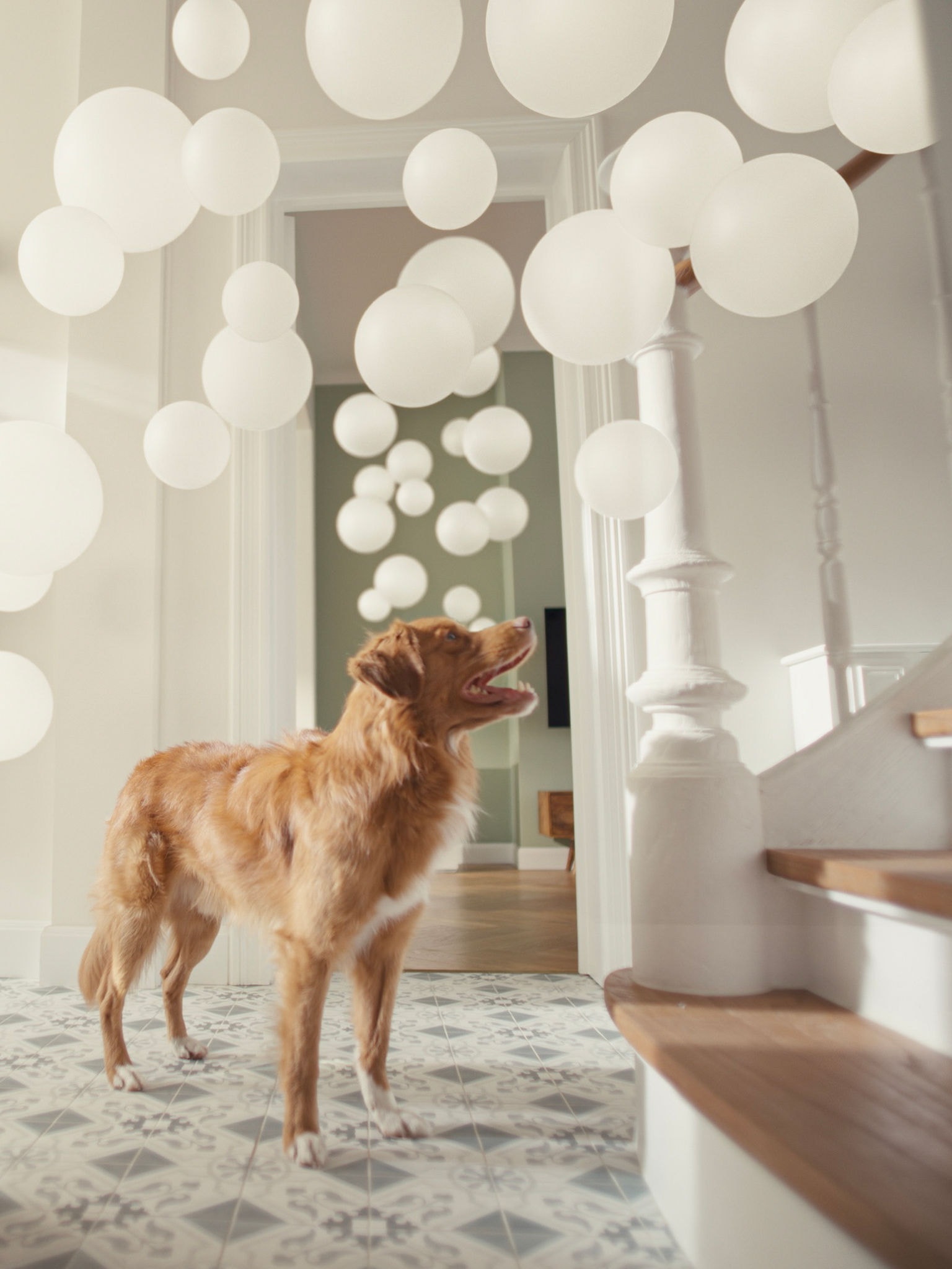 Pes na hodniku s čistilnikom zraka Daikin v bližini, ki filtrira dlake in vonjave hišnih ljubljenčkov